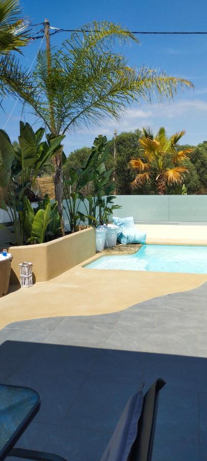Chania Olive Home Kato Daratso Bagian luar foto